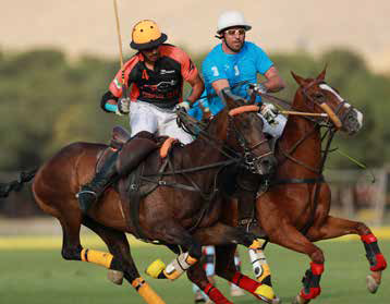 polo player in iran