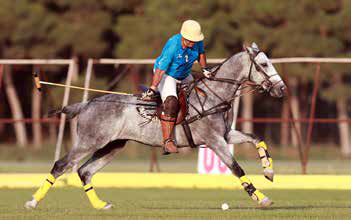 polo player in iran